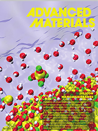 "Mechanisms for Hydrolysis of Silicon Nanomembranes as Used in Bioresorbable Electronics"